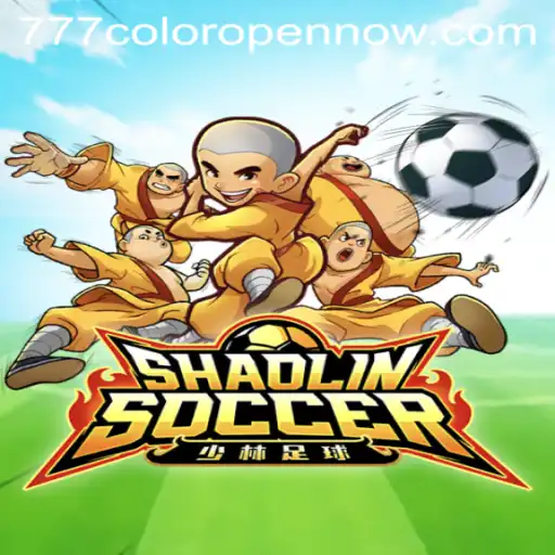 Exploring ShaolinSoccer: A Game of Skill, Strategy, and Excitement